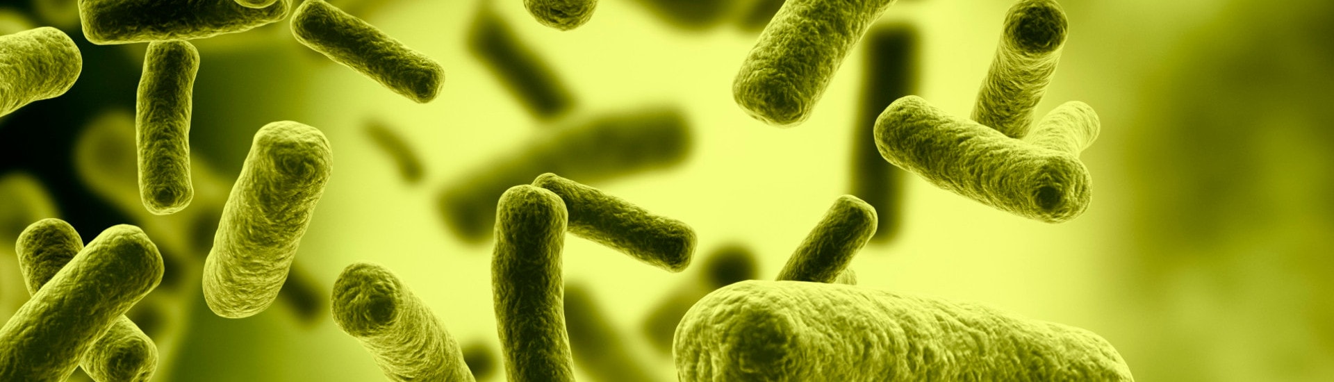 bacterias-min